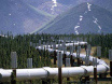 Petroleum pipe