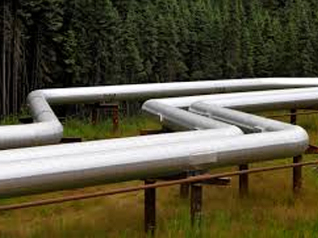 Petroleum pipe