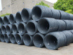 Wire rod
