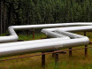 Petroleum pipe